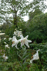 DSC08568_R