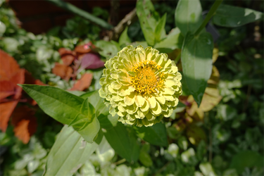 DSC08728_R