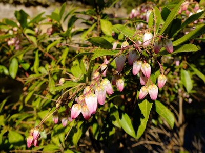 DSCF1028_R