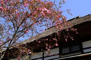 DSCF2079_R
