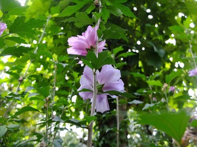 DSCF5088_R