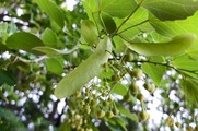 DSCF4123_R