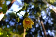 DSCF6945_R