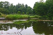 DSCF3844_R
