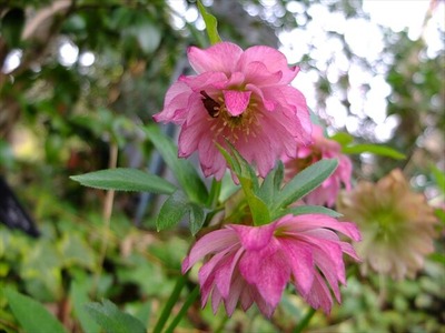 DSCF1400_R