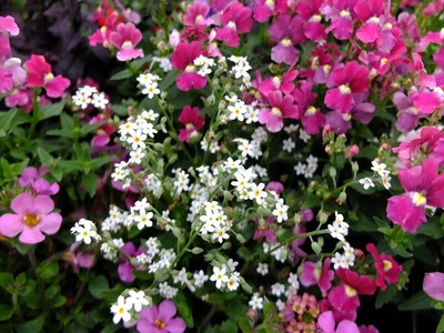 DSCF5183_R