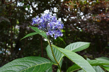 DSC08458_R