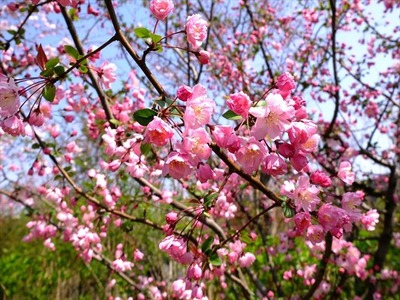 DSCF7898_R