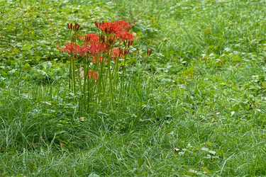 DSC09877_R