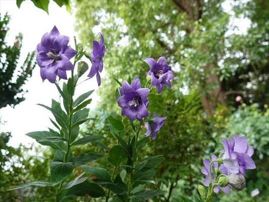 DSC01210_R