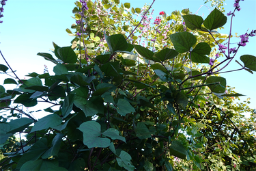 DSC02941_R