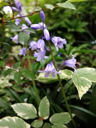 DSCF9460_R