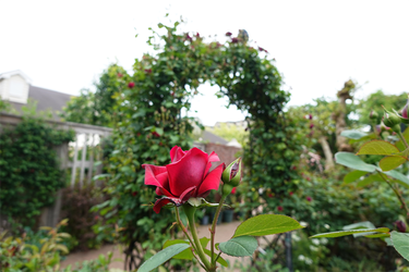 DSC06929_R
