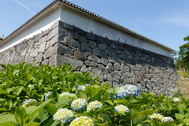 DSC08002_R