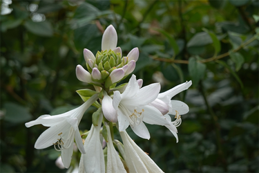 DSC09064_R