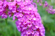 DSCF4858_R