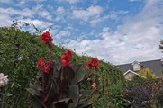 DSCF6341_R