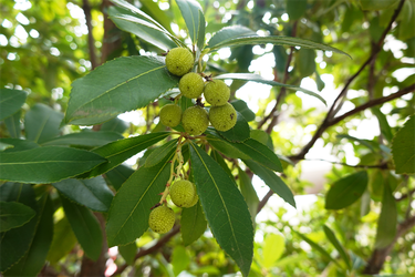DSC08829_R