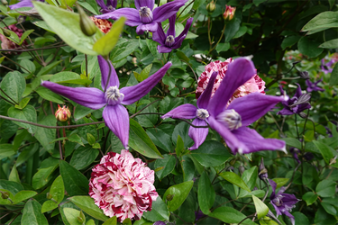 DSC07470_R