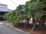 DSCF4675_R