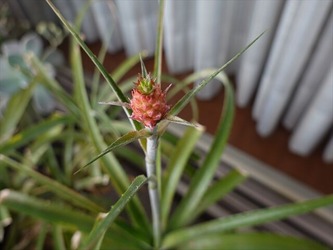 DSC00011_R