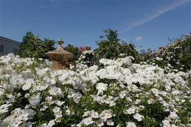 DSC07751_R