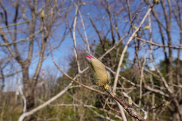 DSC05864_R