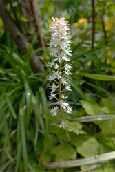 DSC06555_R