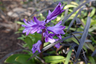 DSC00361_R