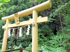 DSCF0955_R