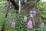 DSCF6249_R