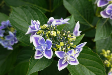 DSC08103_R
