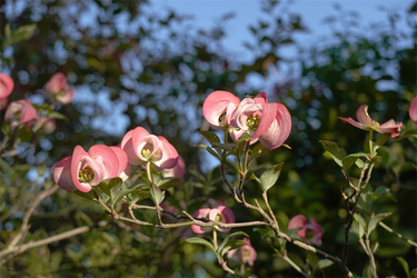 DSC06784_R