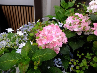 DSCF4329_R
