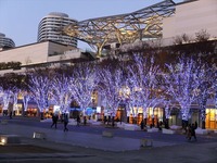 DSCF6248_R