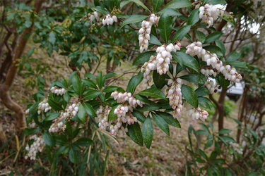 DSC05663_R
