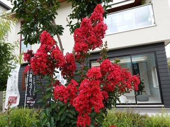 DSC01318_R