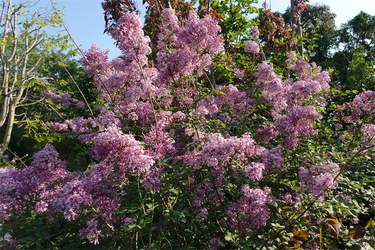 DSC06751_R