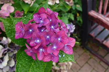 DSC08599_R