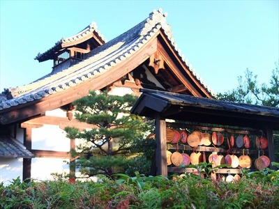 DSCF9557_R