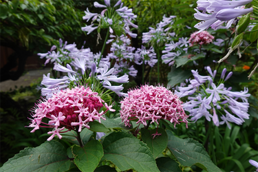 DSC08706_R