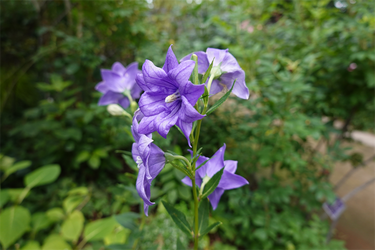 DSC08738_R