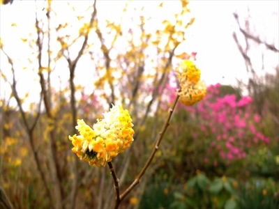 DSCF1358_R