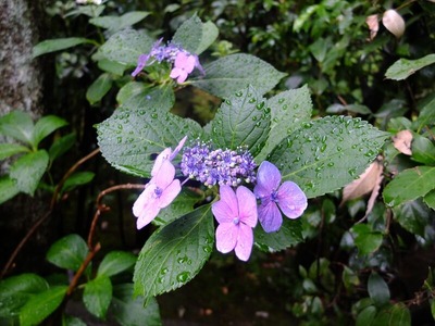 DSCF7323_R