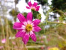 DSCF5163_R