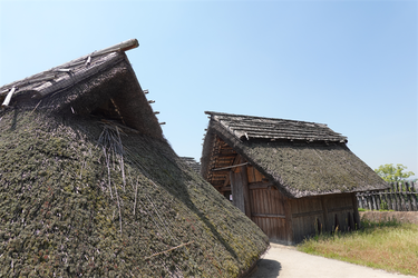 DSC07943_R