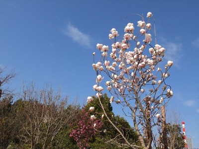 DSCF4896_R