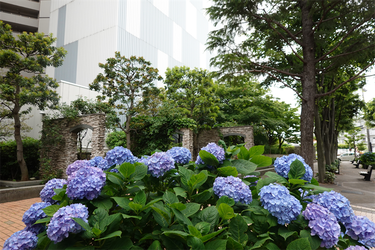 DSC08018_R