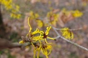 DSCF9463_R