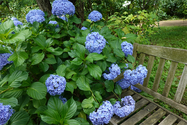 DSC08473_R